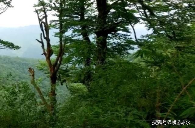大厦管理者