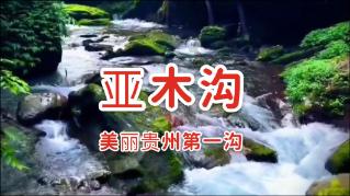 中国驻美使馆举办纪念中美留学45周年暨中美青年新春联欢活动