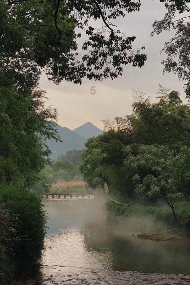 爱吃的鱼