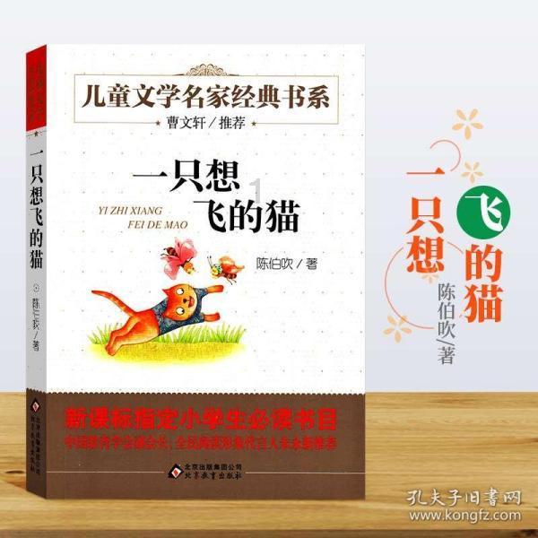 冬天小猫娇弱易病?那是因为这5个原因!