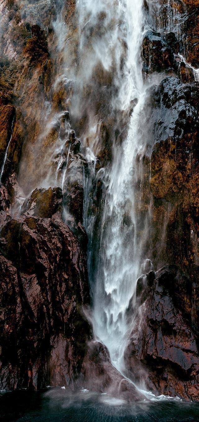 梦想的后院