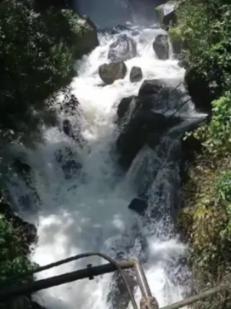 拯救红松鼠