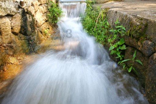 缤纷水果茶
